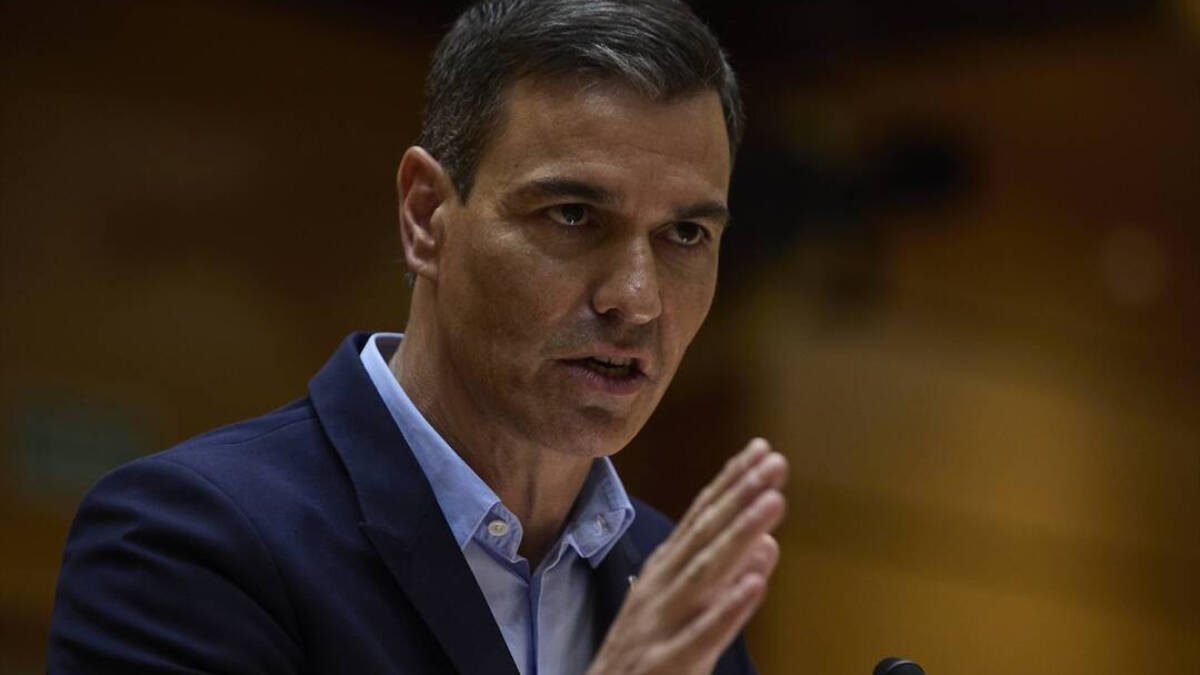 Pedro Sánchez en el Senado