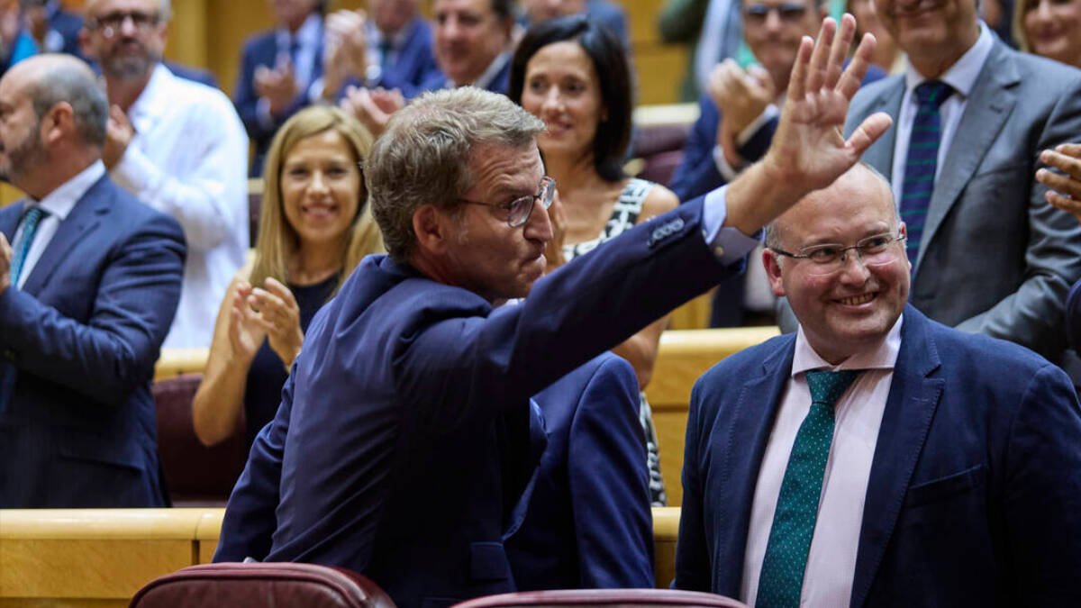 Feijóo a su llegada al Senado