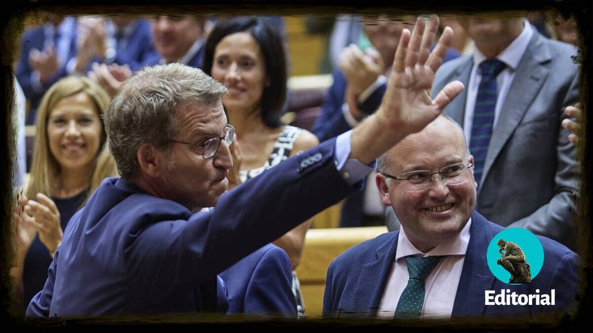 Feijóo en el Senado