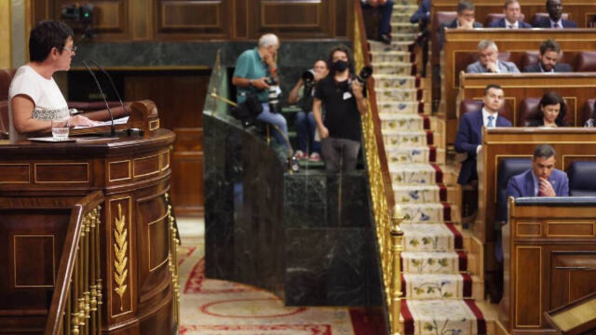 La diputada de Bildu, Merche Aizpurua, se dirige al Hemiciclo desde la tribuna del Congreso.