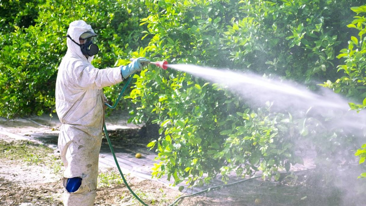 Imagen de un operario fumigando un campo  - ARCHIVO