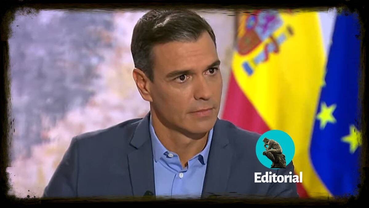 Pedro Sánchez en TVE