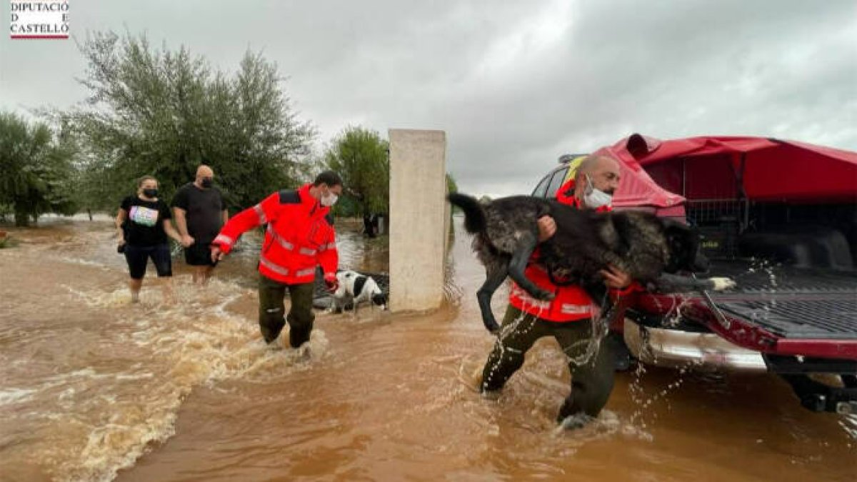 Rescate de los bomberos en Vinaròs