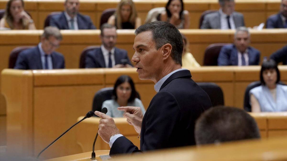 Pedro Sánchez en el Senado ante Feijóo