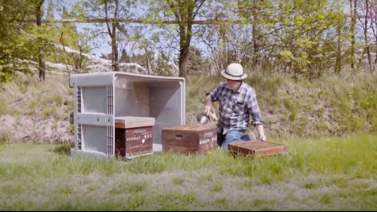 Apicultor coloca colmenas en los campos de Pink Lady