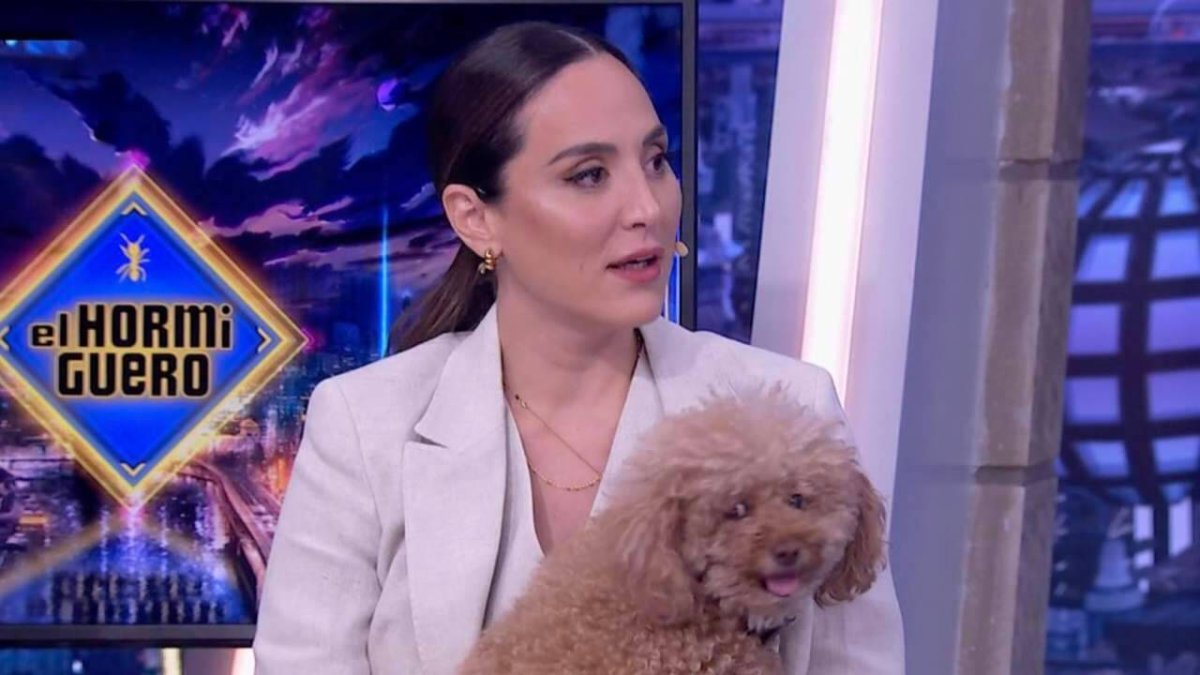 Tamara Falcó, con muletas y con Jacinta en el plató de El Hormiguero.