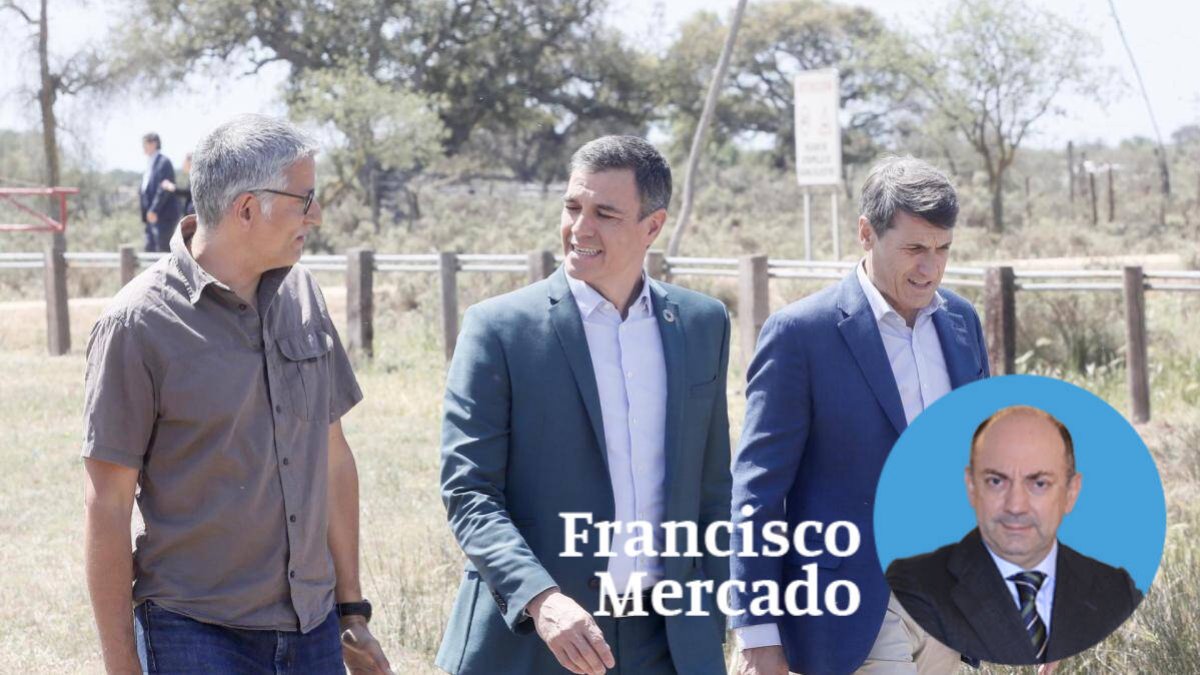 Sánchez, en su reciente visita a Doñana.