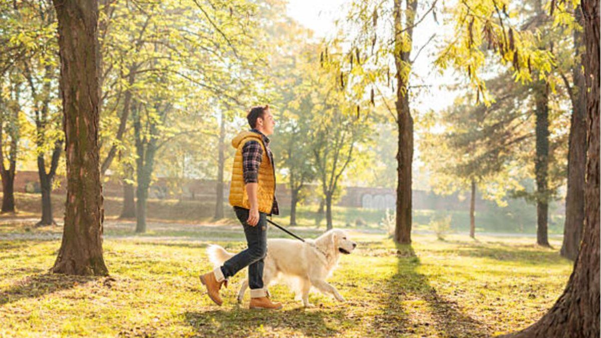 Rutas de senderismo con perros en Madrid