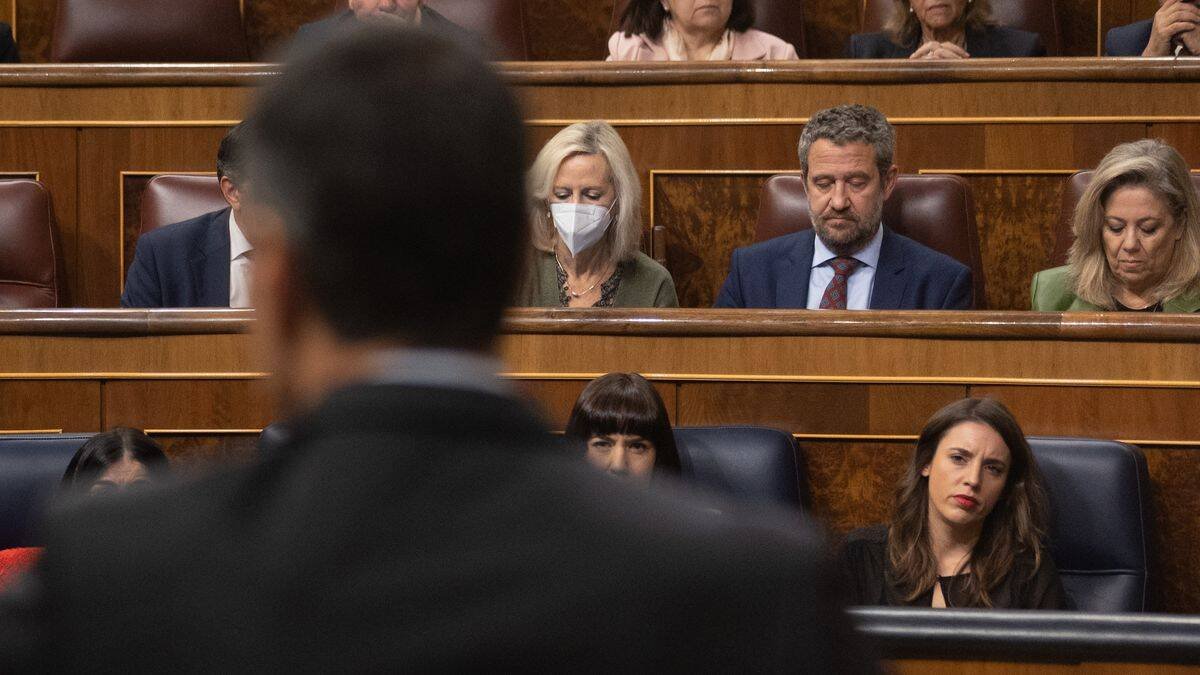 Irene Montero observa seria a Pedro Sánchez, de espaldas a ella.