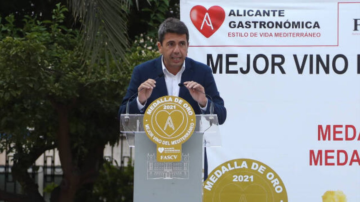 Carlos Mazón, presidente de la Diputación de Alicante