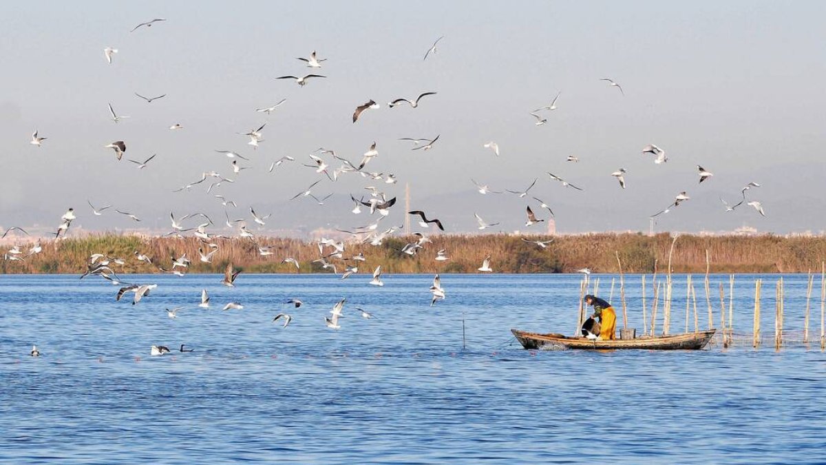 Pesca tradicional en La Albufera de Valencia.