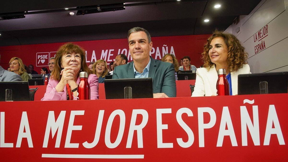 Sánchez, en el Comité Federal del PSOE.