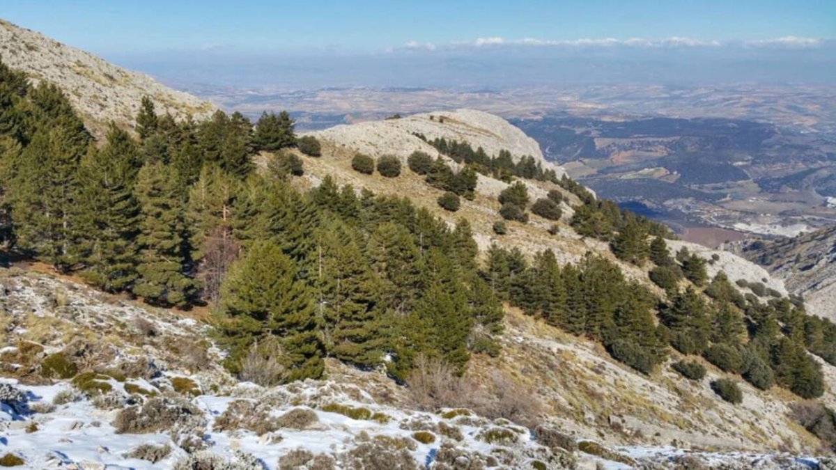 Ascenso al Pico Tejeda o La Maroma, en Málaga. (Foto wikilock)