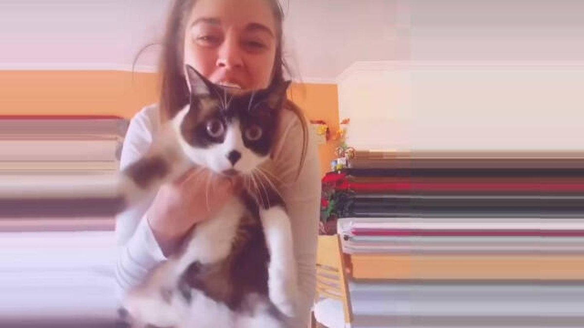 La consellera Mireia Mollà con su gato en uno de sus bailes de TikTok