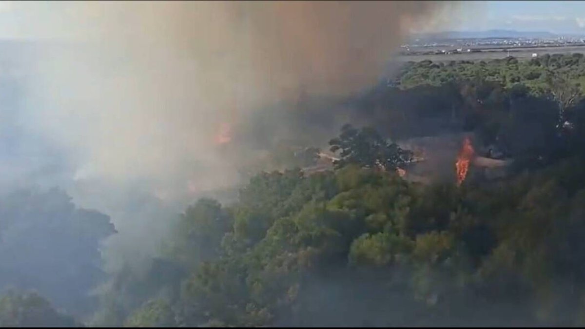 Imagen del incendio desde un edificio.