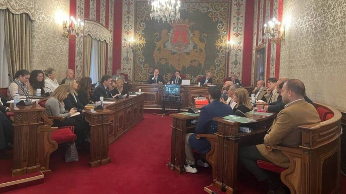 Pleno del Ayuntamiento de Alicante