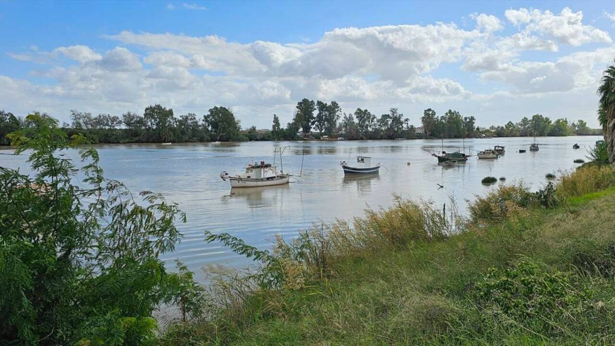 Barcas en Coria del Río (Sevilla). Foto Facebook Turismo Coria.