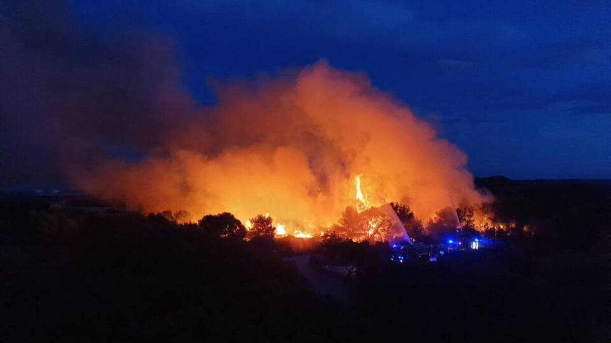 Incendio forestal en El Saler en noviembre de 2023.