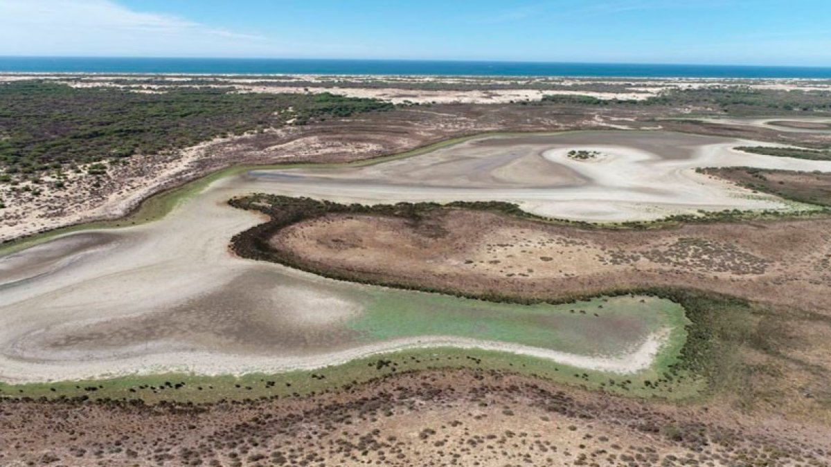 Laguna casi seca en Doñana.