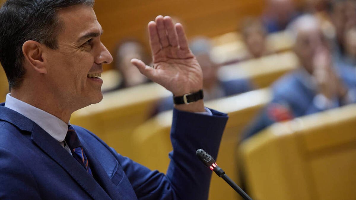 Pedro Sánchez en el Senado