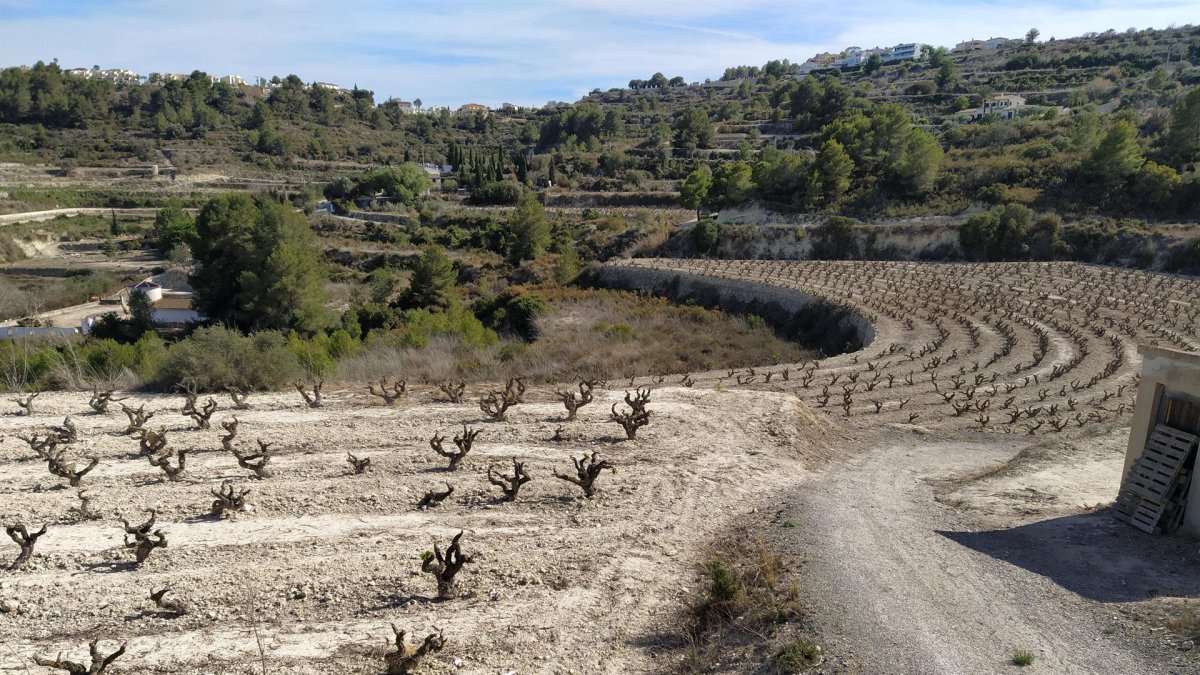 Campos en el interior de la Comunitat Valenciana