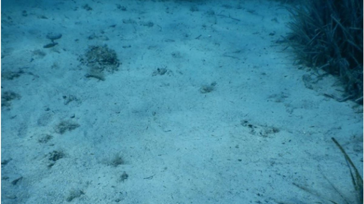 Oxígeno oscuro en fondos abisales