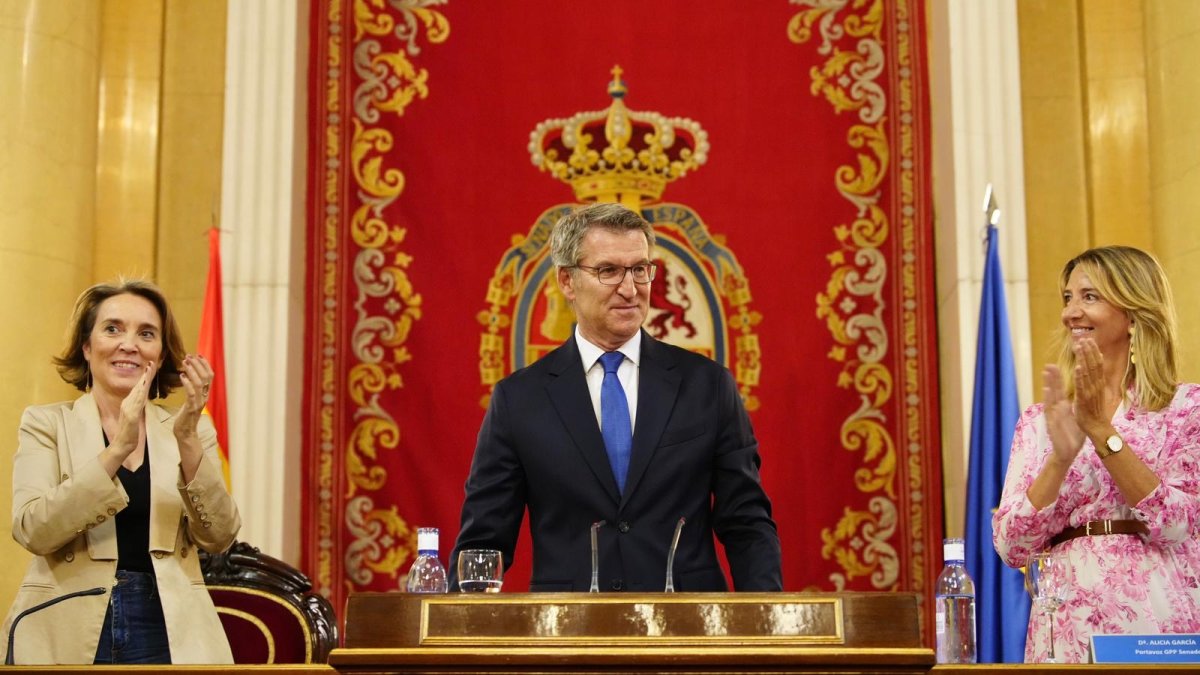 Núñez Feijóo, líder del PP, en el Senado