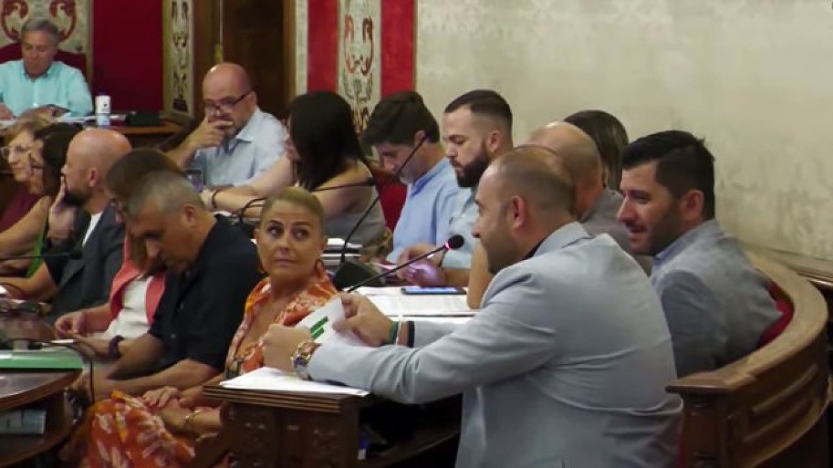 Pleno del Ayuntamiento de Alicante