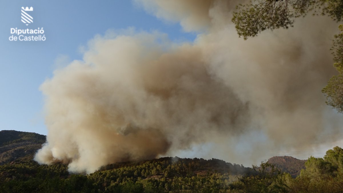 Incendio en Benicàssim