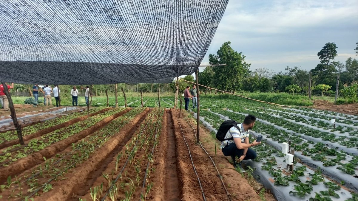 La Universidad Loyola (Sevilla) trabajando en el ámbito de la innovación aplicada a la agricultura para mejorar productividad.
UNIVERSIDAD LOYOLA
25/7/2024