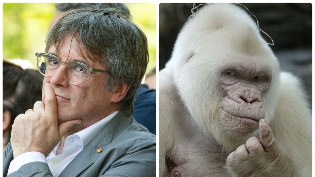 Carles Puigdemont y Copito de Nieve