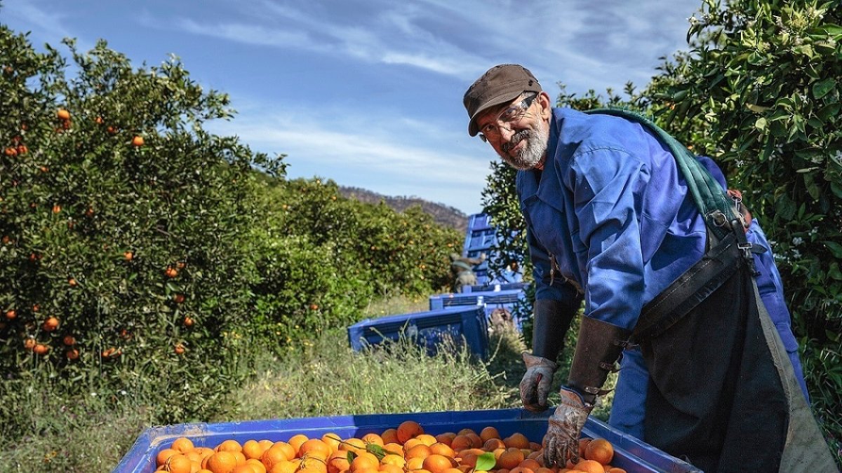 Un trabajador del sector agrícola.