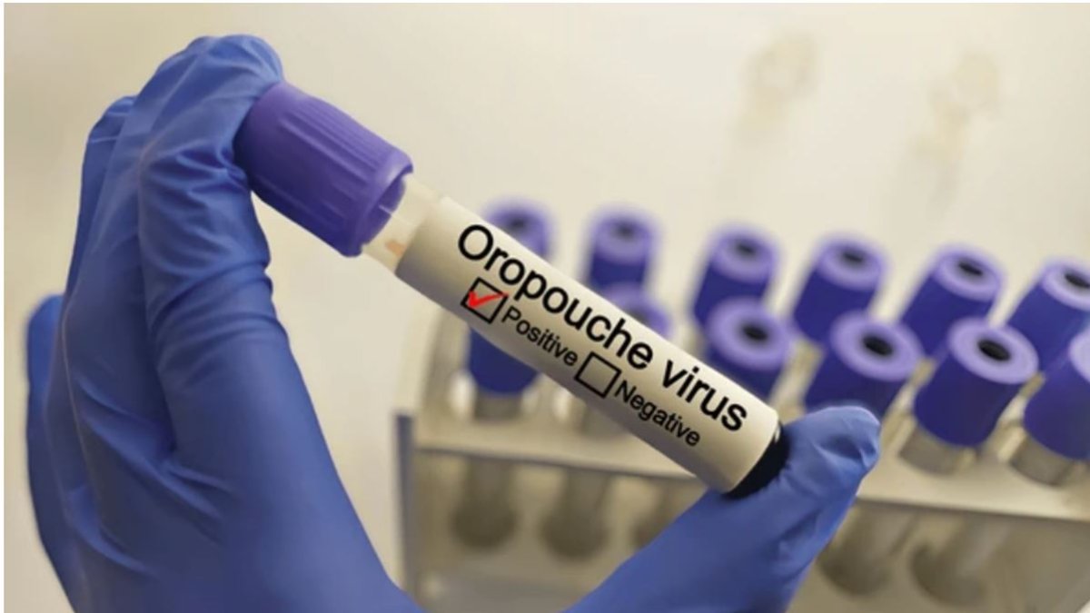 Virus Oropouche