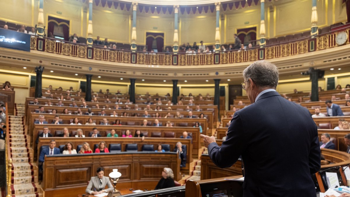 El presidente del PP, Alberto Núñez Feijóo, interviene durante una sesión en el Congreso.