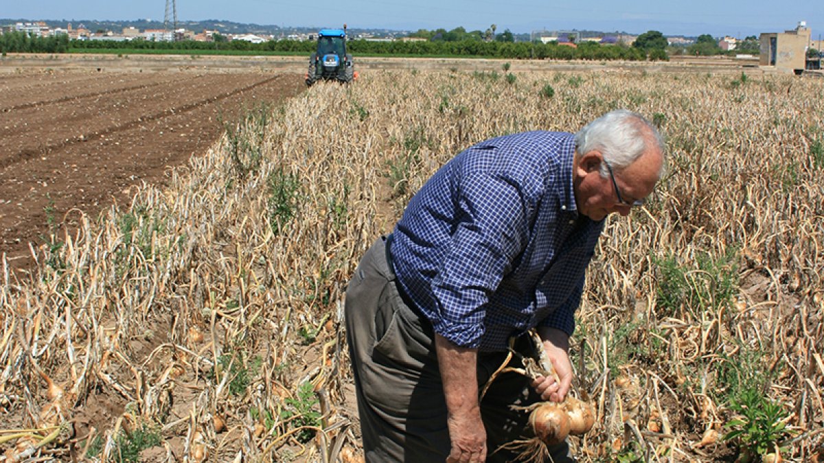 Agricultor realizando trabajos en el campo