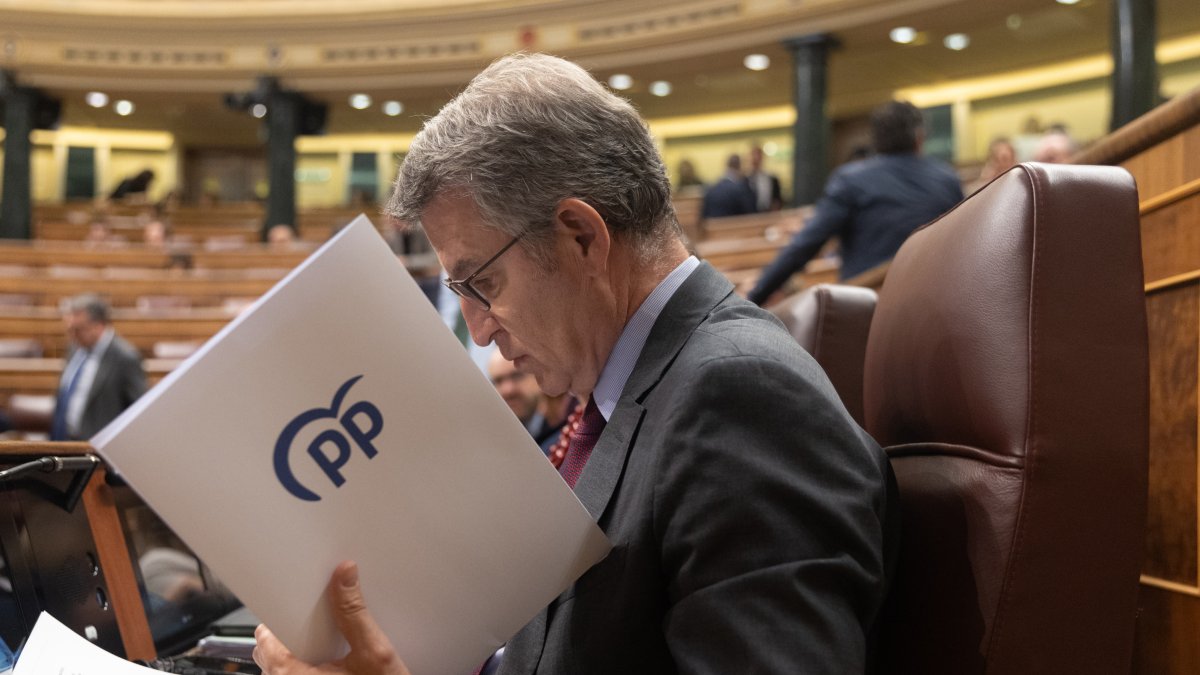 El presidente del Partido Popular, Alberto Núñez Feijóo, antes de una sesión en el Congreso de los Diputados.