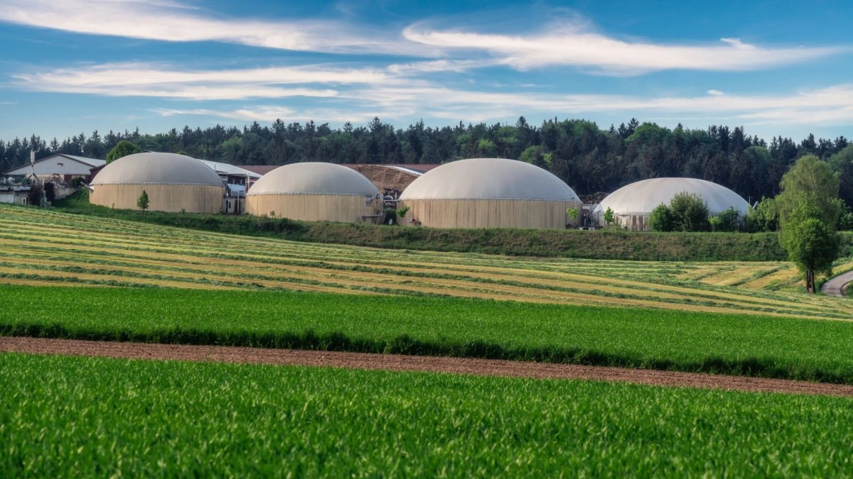 (Foto de ARCHIVO)
Plantas de biometano para usar residuos agrícolas y ganaderos para generar energía renovable y dar un paso más en la economía circular.

BIOMARGAS
12/8/2024