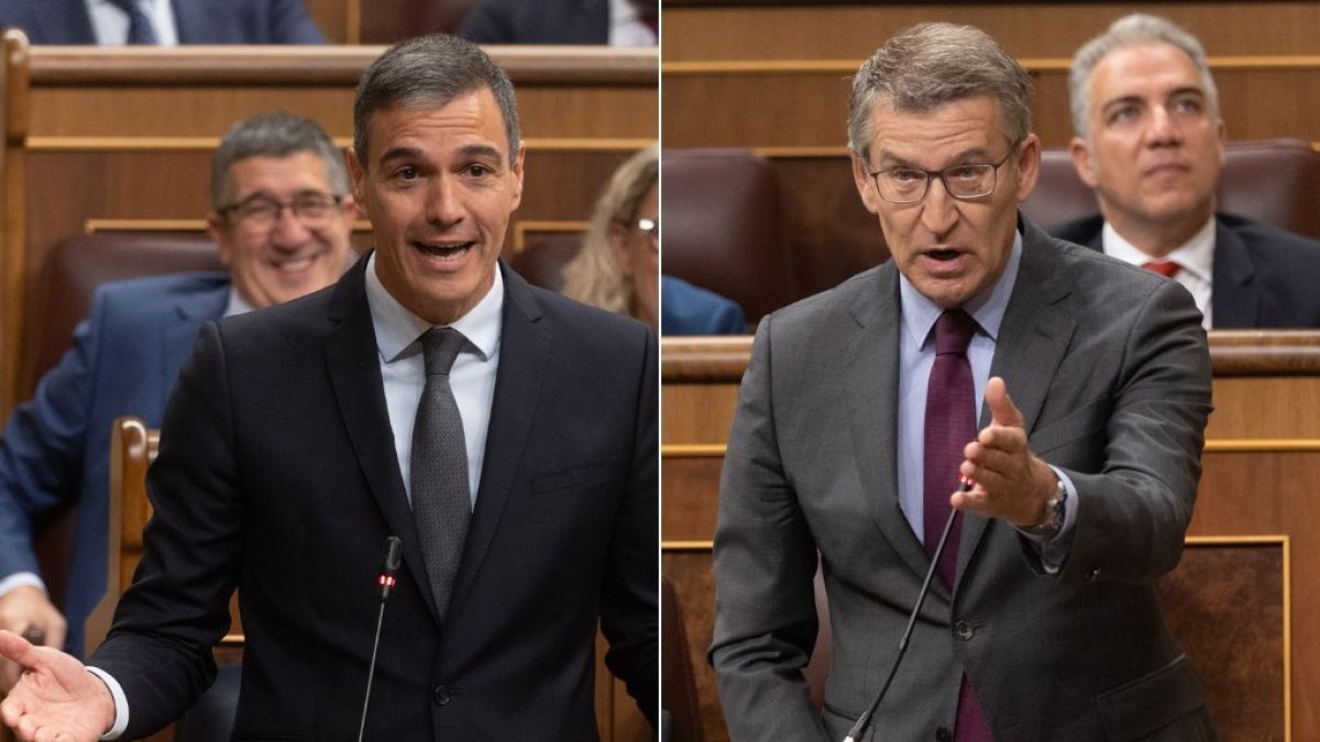 Pedro Sánchez y Feijóo durante la sesión de control al Gobierno en el Congreso

EDUARDO PARRA / EUROPA PRESS
19/6/2024