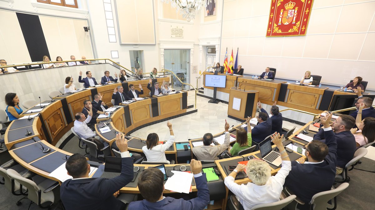 Pleno de la Diputación de Alicante