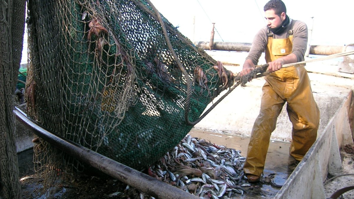 Pescador andaluz.