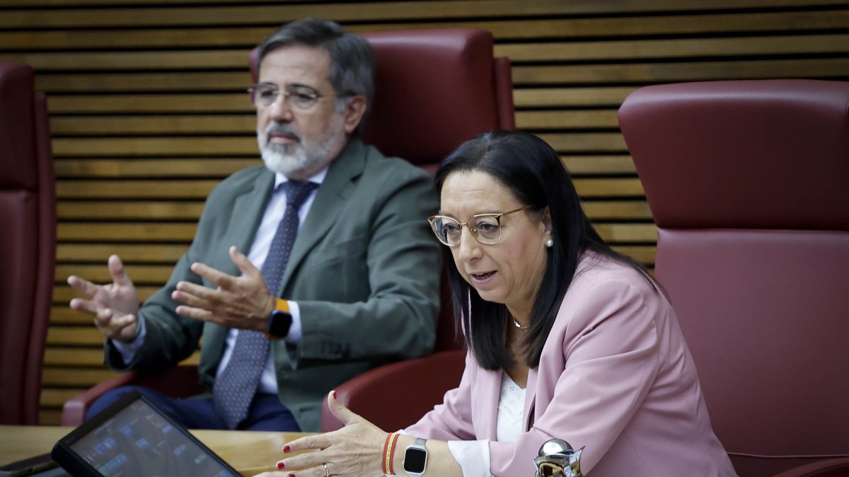 La presidenta de Les Corts, Llanos Massó