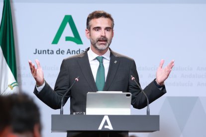 El portavoz de la Junta, Ramón Fernández-Pacheco (PP-A). Rocío Ruz / Europa Press