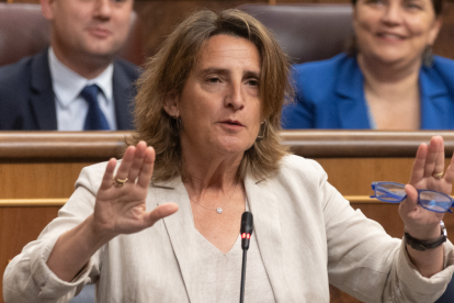 Teresa Ribera en el Congreso de los Diputados.