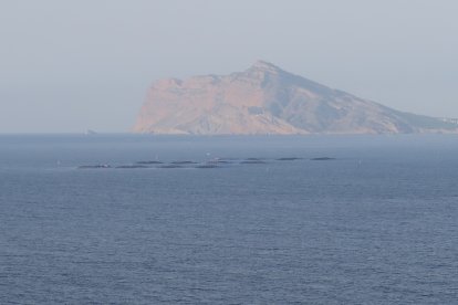 Piscifactoría frente a la costa de Calpe