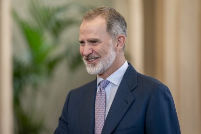 El Rey Felipe VI