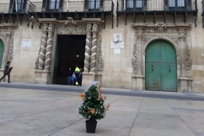 El árbol en la Plaza del AYuntamiento.