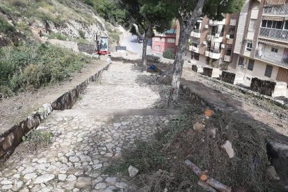 Alicante tala indiscriminadamente árboles en uno de los pulmones de la ciudad