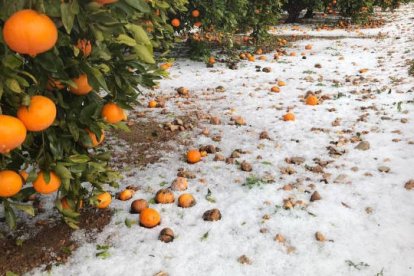 Efectos de la granizada en Tavernes