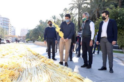 Elche consigue su 'récord Guinness' con una palma blanca de 130 metros