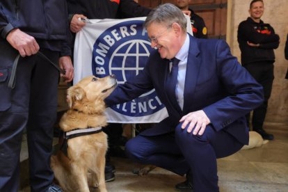 Bomberos y perros regresan de Turquía: 